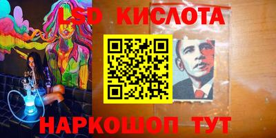 прущие грибы Кунгур