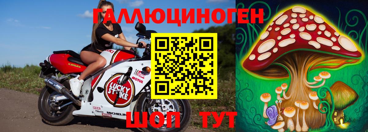 Псилоцибиновые грибы мухоморы Касимов