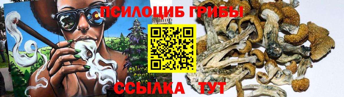 Галлюциногенные грибы Psilocybe  дарнет шоп  Касимов  Вход с VPN 