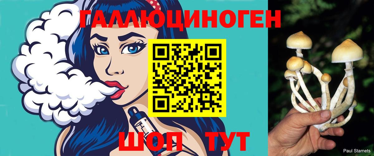 Бошки Шишки  Кокаин  A PVP СОЛЬ кристаллы  Касимов  Героин  МЕФ   Вход с VPN  ГАШИШ 